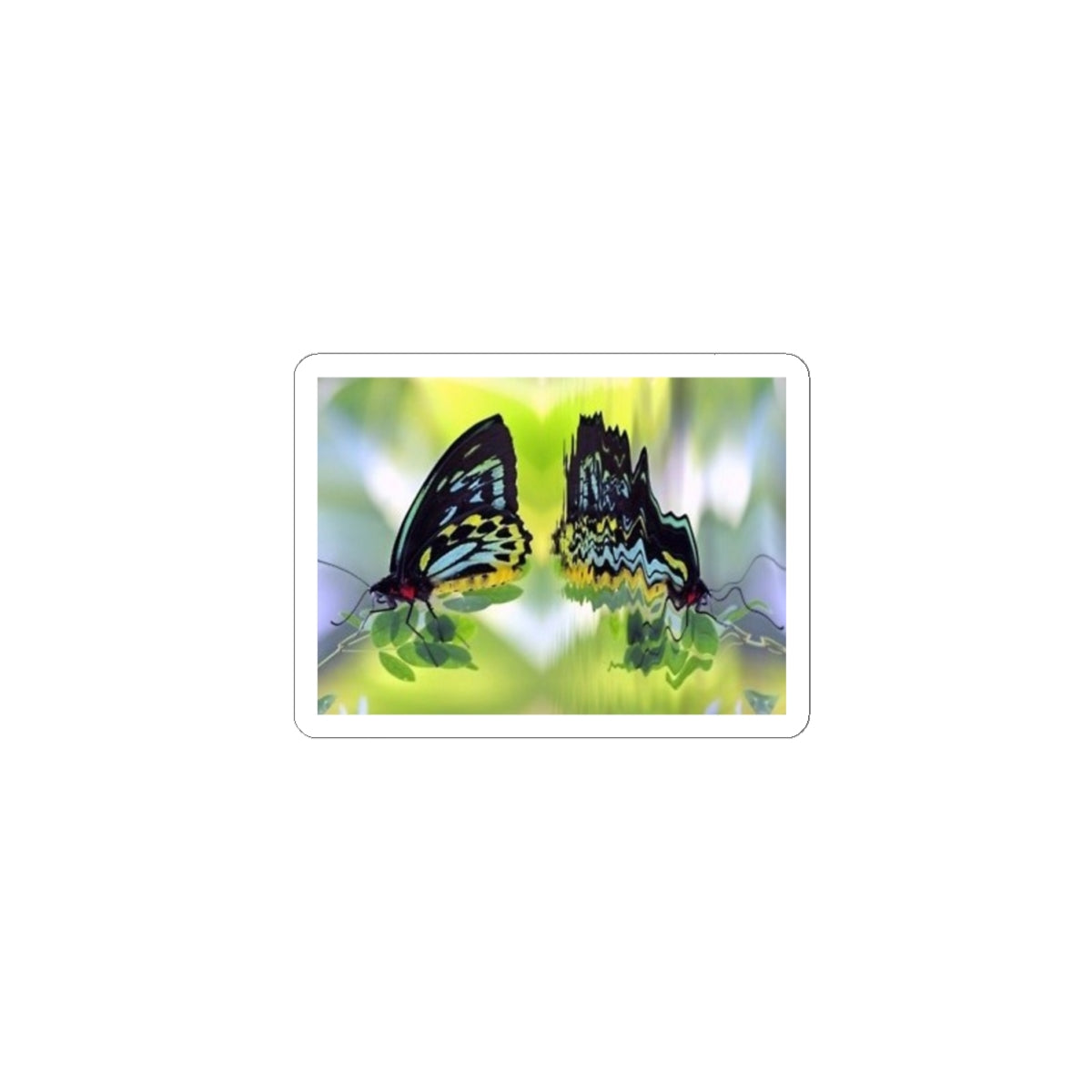 Butterfly Reflection Kiss-Cut Sticker — Colorful Nature Laptop Decal