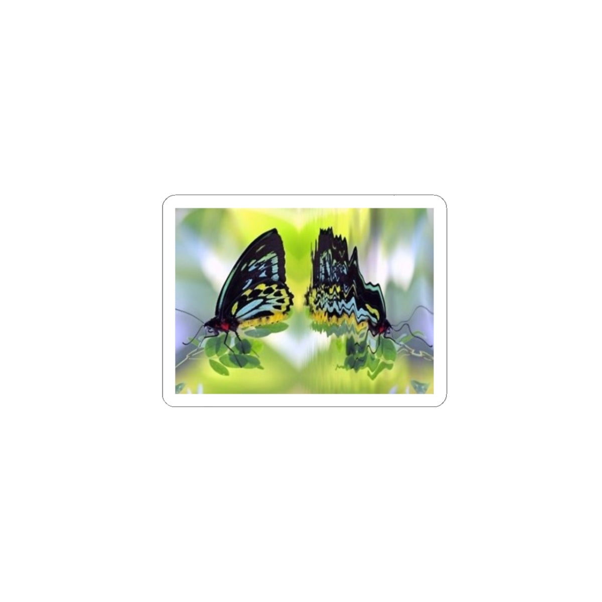 Butterfly Reflection Kiss-Cut Sticker — Colorful Nature Laptop Decal