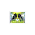 Butterfly Reflection Kiss-Cut Sticker — Colorful Nature Laptop Decal