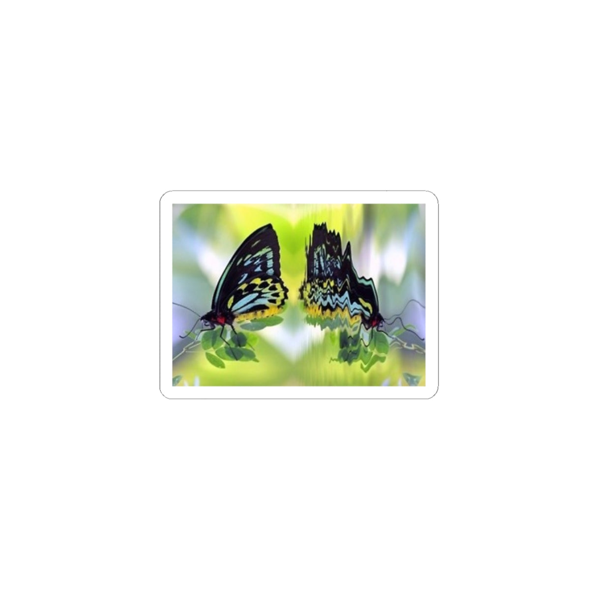 Butterfly Reflection Kiss-Cut Sticker — Colorful Nature Laptop Decal