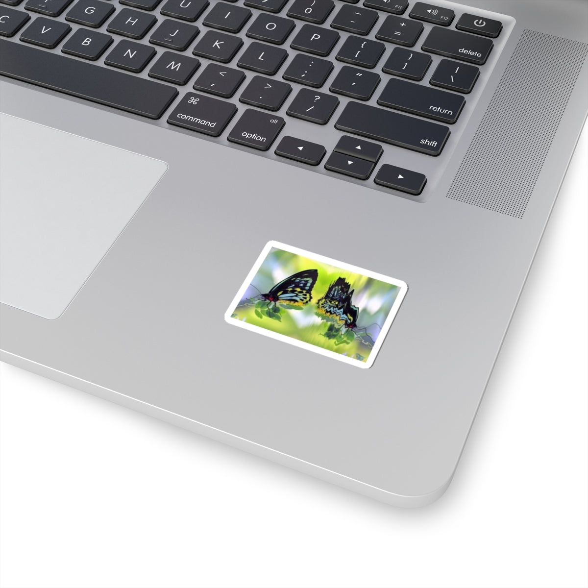 Butterfly Reflection Kiss-Cut Sticker — Colorful Nature Laptop Decal