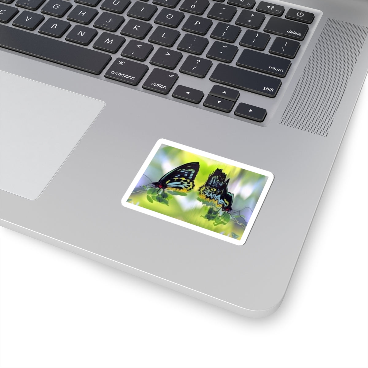 Butterfly Reflection Kiss-Cut Sticker — Colorful Nature Laptop Decal