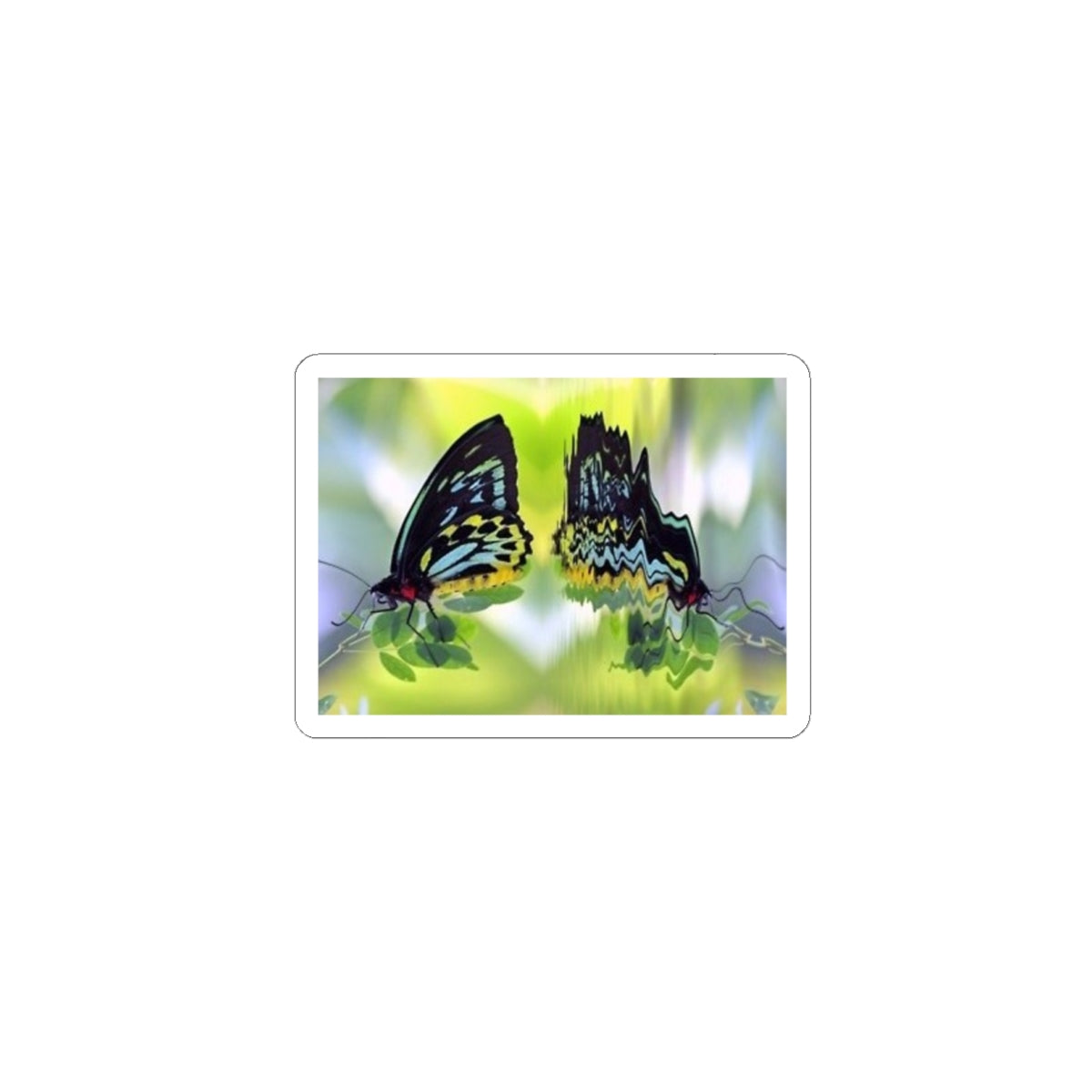 Butterfly Reflection Kiss-Cut Sticker — Colorful Nature Laptop Decal